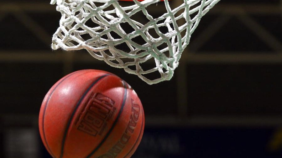 Basket Serie B, la Pallacanestro Vigevano inizierà la preparazione a Gambolò