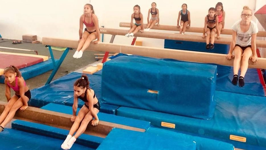 Palestra distrutta dal fuoco: "Aiutateci a ricostruire il tempio della ginnastica"