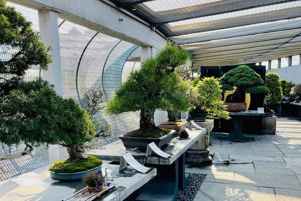 Il Crespi Bonsai Museum di Parabiago (Milano) 