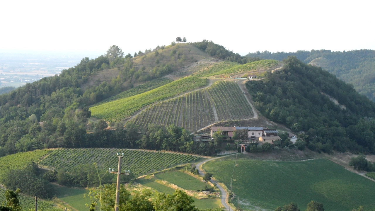 Montecalvo Versiggia (Pavia), dopo la mossa di Berlucchi a Santa Maria della Versa, si muove Masi Agricola