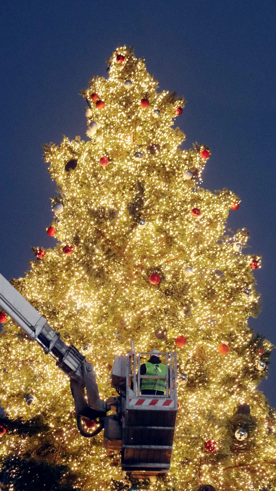 Operai al lavoro per allestire l'albero in piazza Duomo