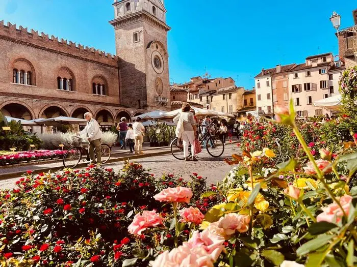 FIORI DI LOTO, SIMBOLO DELLA BELLEZZA. DA OLTRE 100 ANNI A MANTOVA