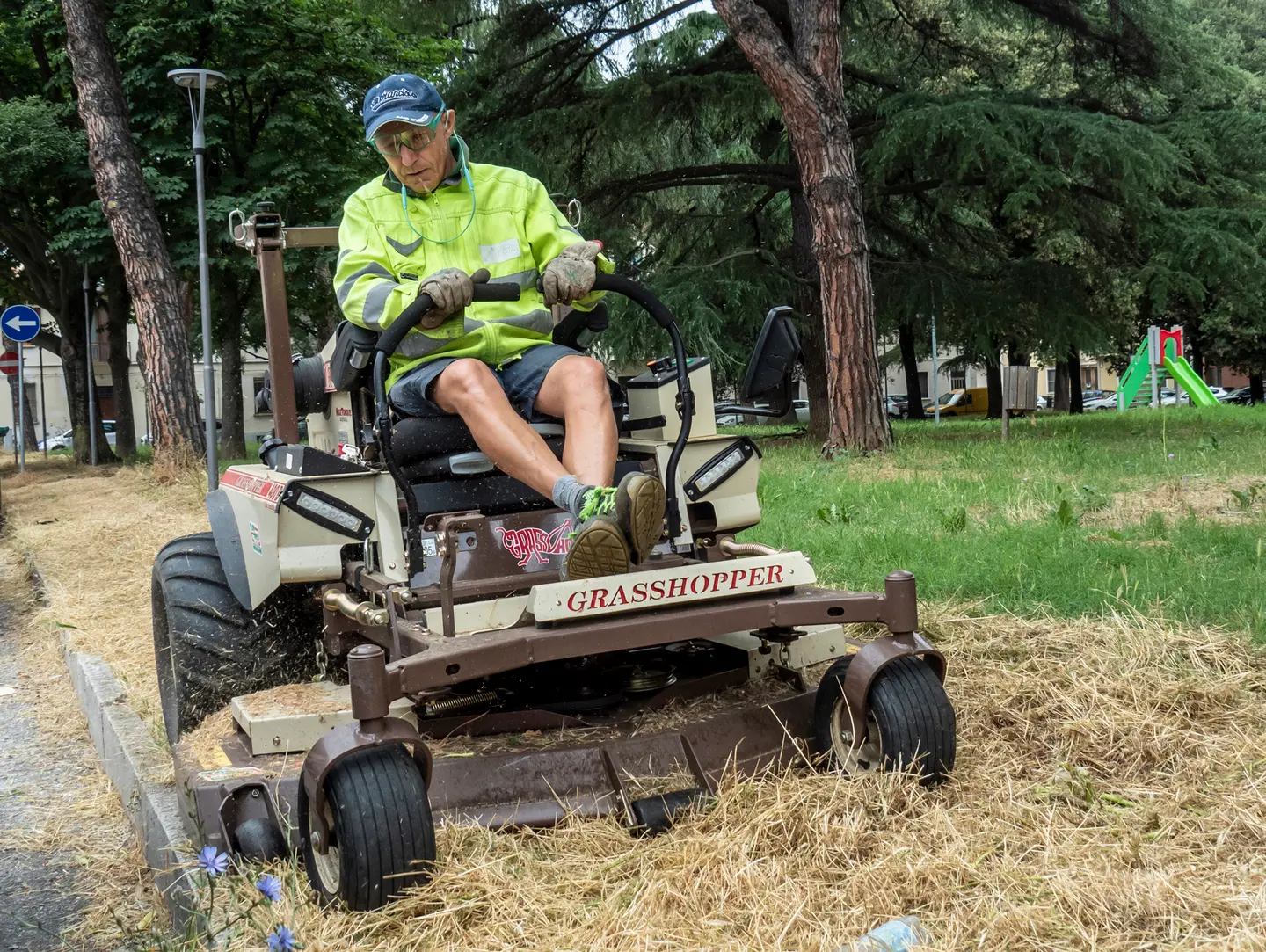 Codogno, centro e periferia invasi dalle erbacce