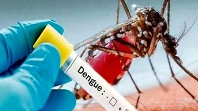 Emergenza Dengue: innalzata l'allerta alle frontiere