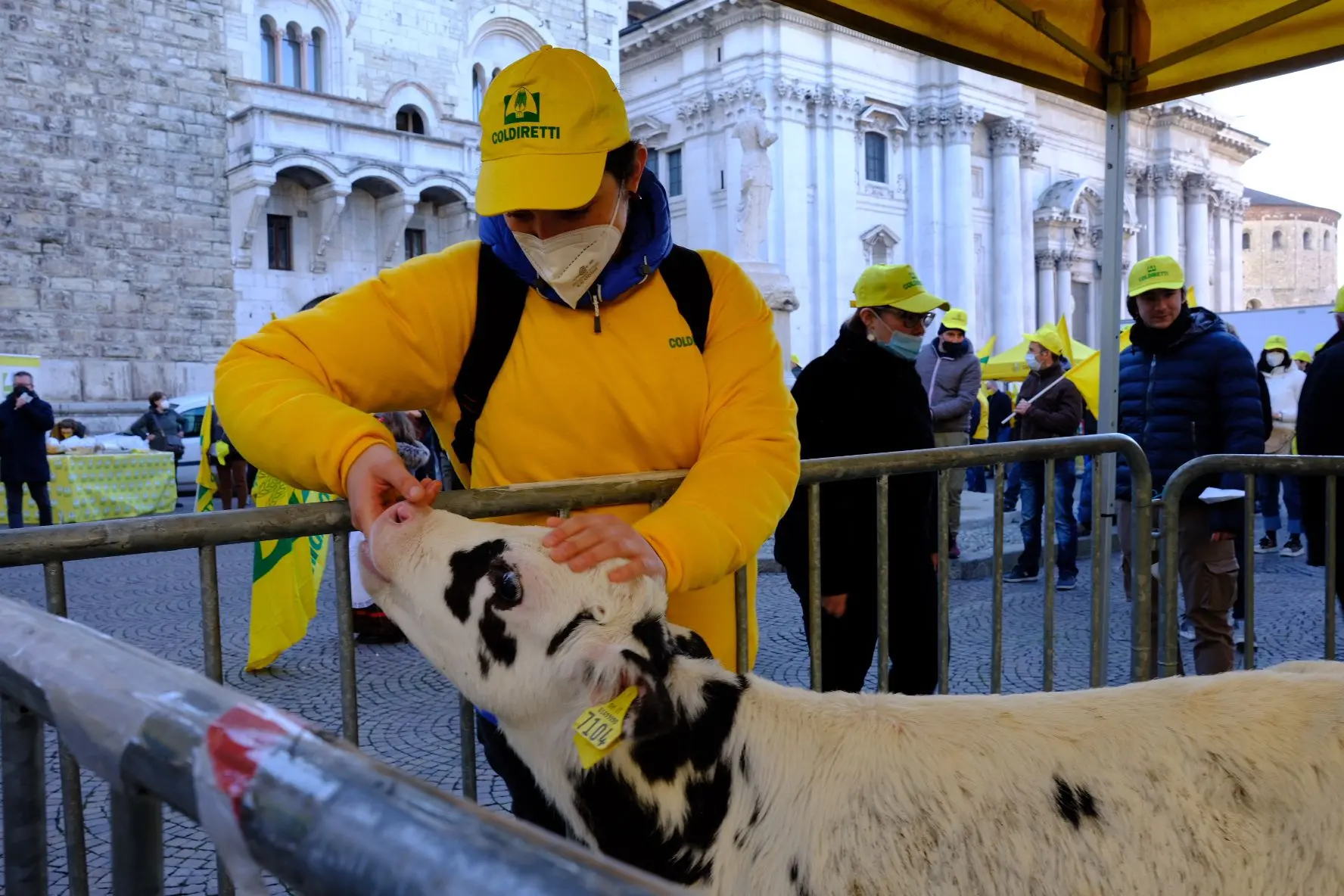 Caro energia e materie prime alle stelle: la protesta degli agricoltori a Brescia