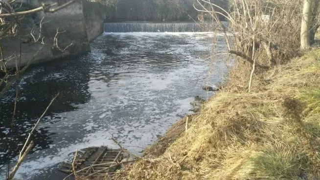 Pesci morti e schiuma nel fiume Olona. Arpa a caccia dei responsabili, fioccano polemiche