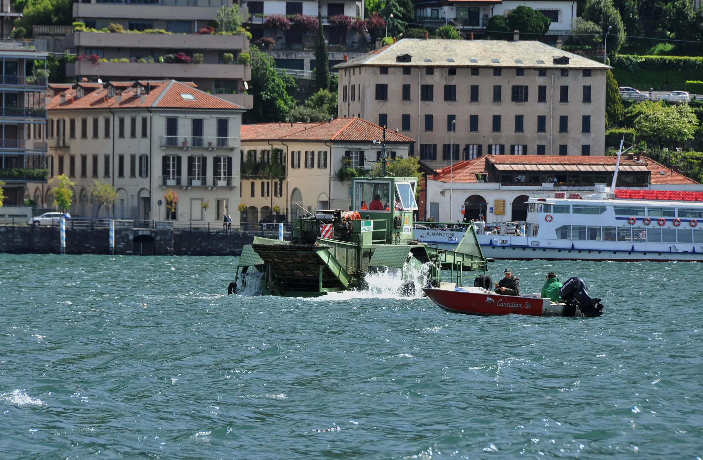 Como, emergenza alghe nel lago