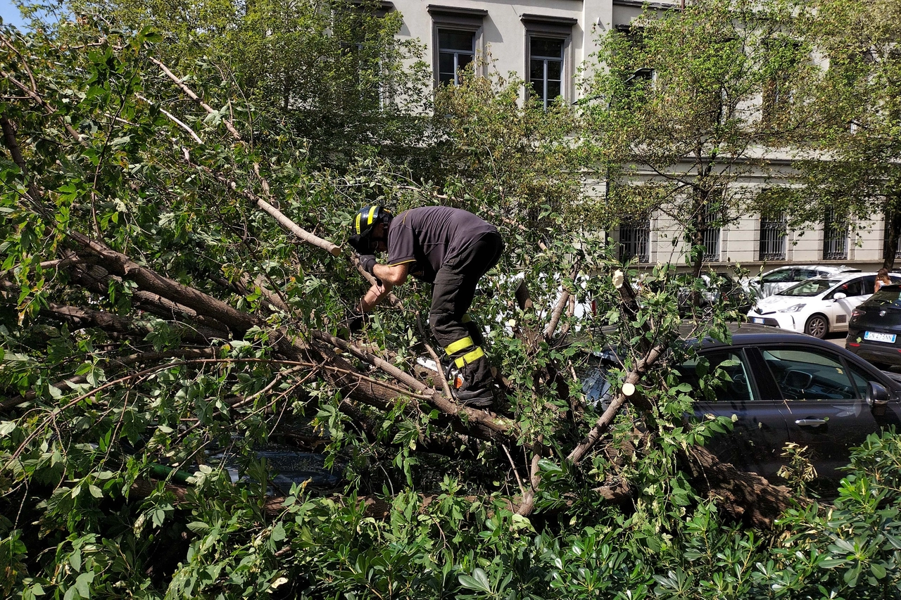 Vigili del fuoco al lavoro per liberare la strada dagli alberi