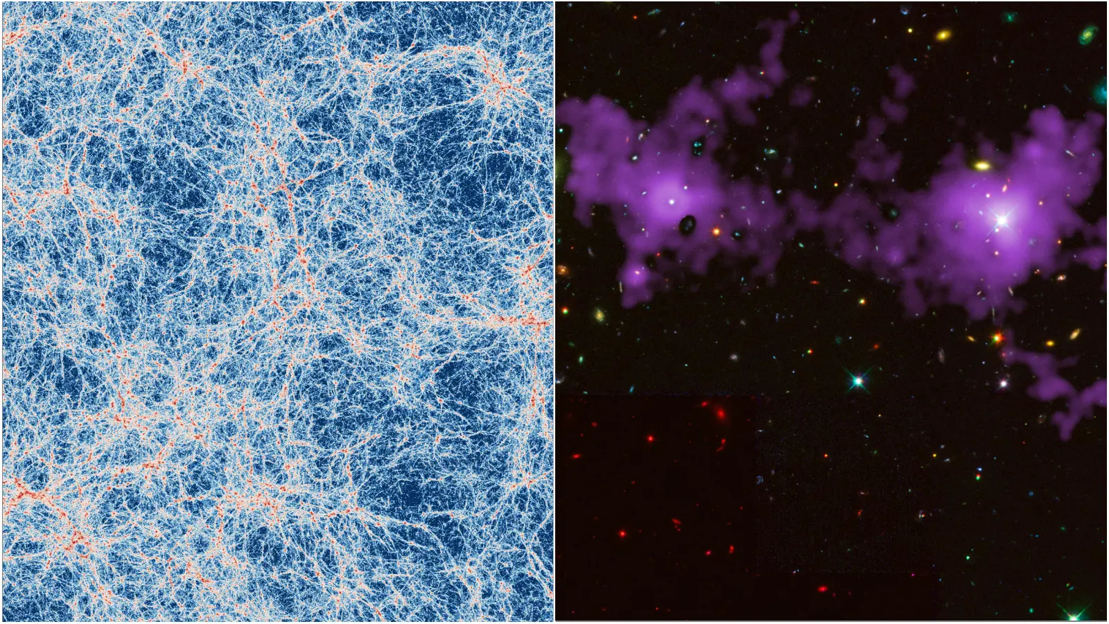 Le foto della Ragnatela Cosmica "scoperta" dai ricercatori della Bicocca