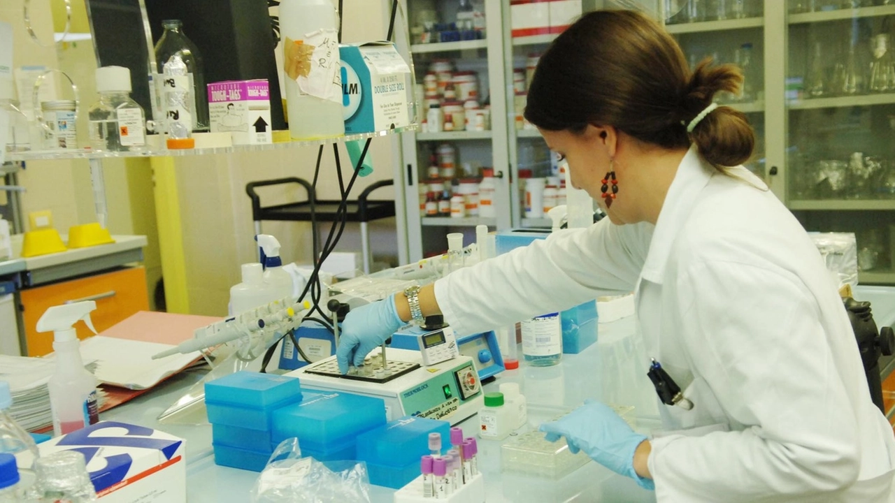 Nuove frontiere per la ricerca, nella foto un laboratorio (Foto archivio)