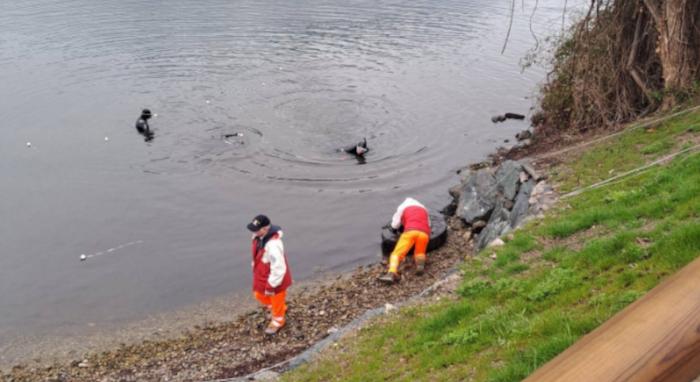 Lecco, una discarica di pneumatici sommersa nel lago di Garlate