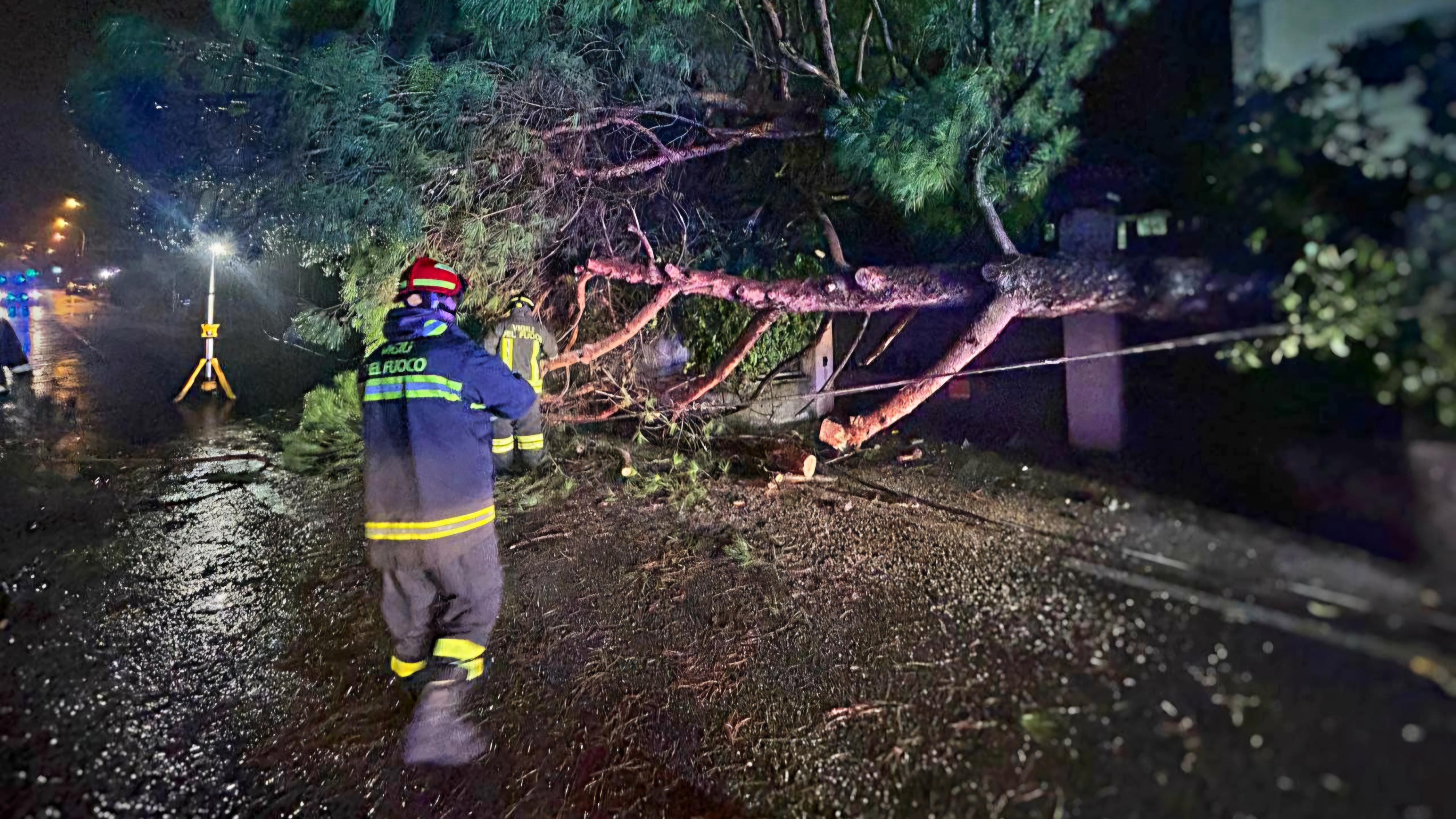 Galbiate, grosso albero cade sulla strada