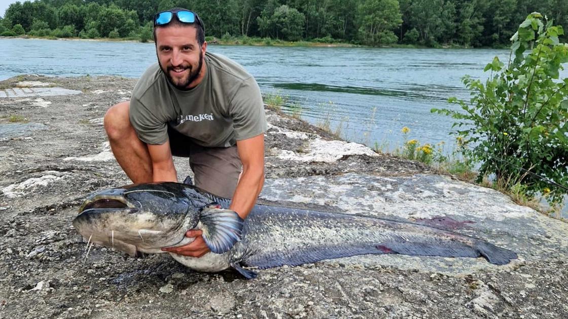 Un pesce siluro da due metri: Gabriele Ceriotti e la sua pesca da record nel Ticino