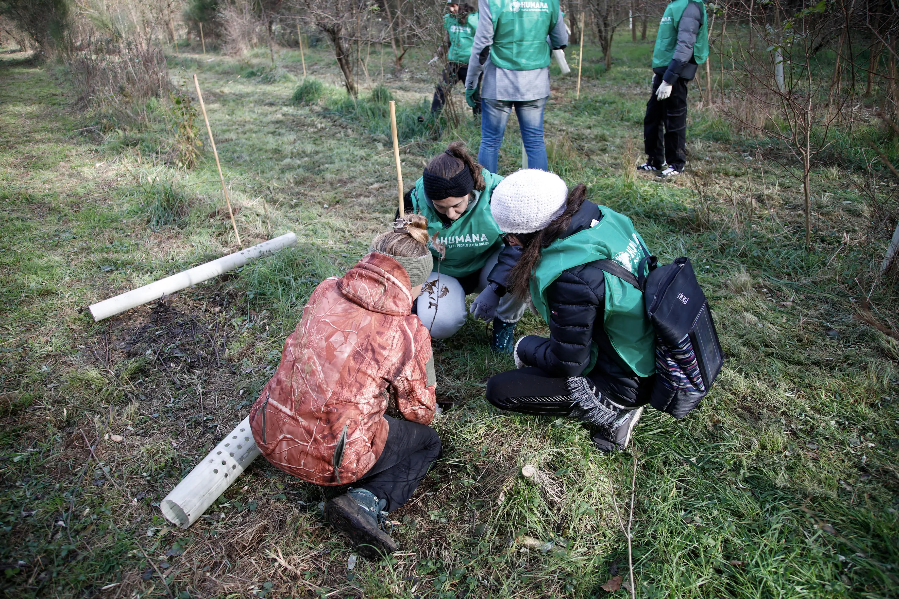 Giornata degli Alberi: messe a dimora 300 nuove piante nel Bosco di Vanzago