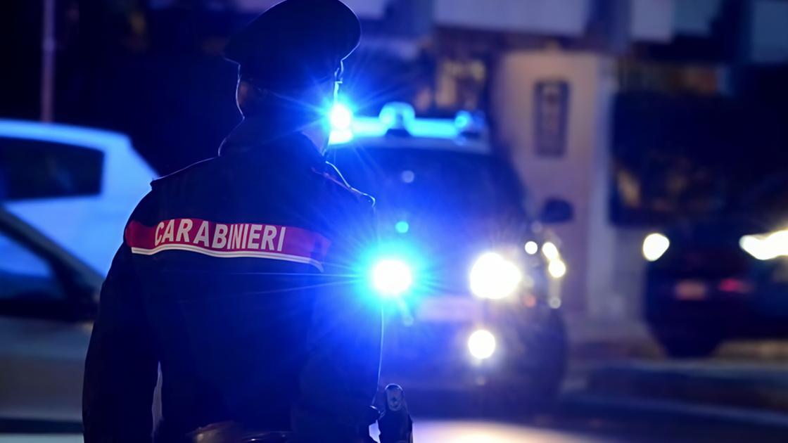 Ubriaco in manette. Aizza il suo cane contro i carabinieri