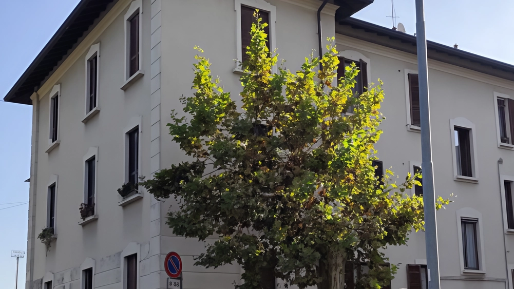 Via dei Salici. Niente docce né lavatrici