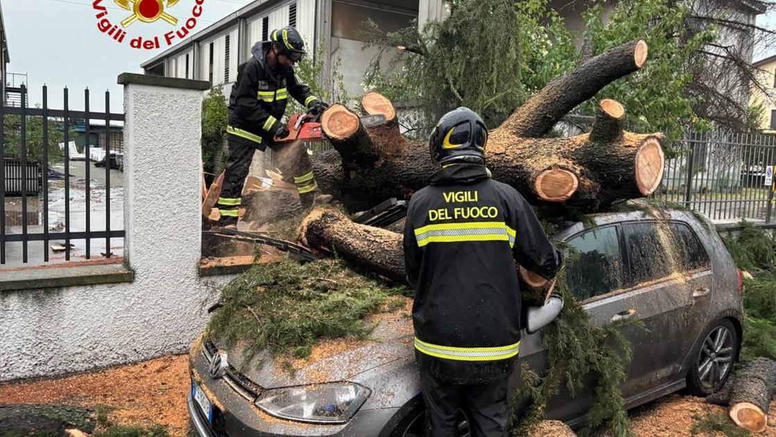 Farinate, l’albero sfonda l’auto: salvo per un miracolo