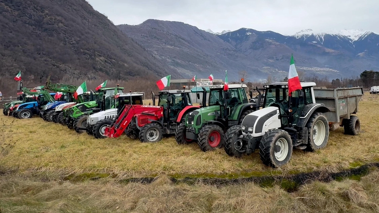 In molti li avranno notati in questi giorni e oggi i trattori schierati a Talamona, alla rotonda del Tartano, saranno...