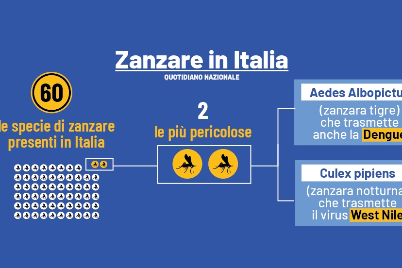 Anche la zanzara tigre (Aedes albopictus) è in grado di trasmettere le febbre Dengue