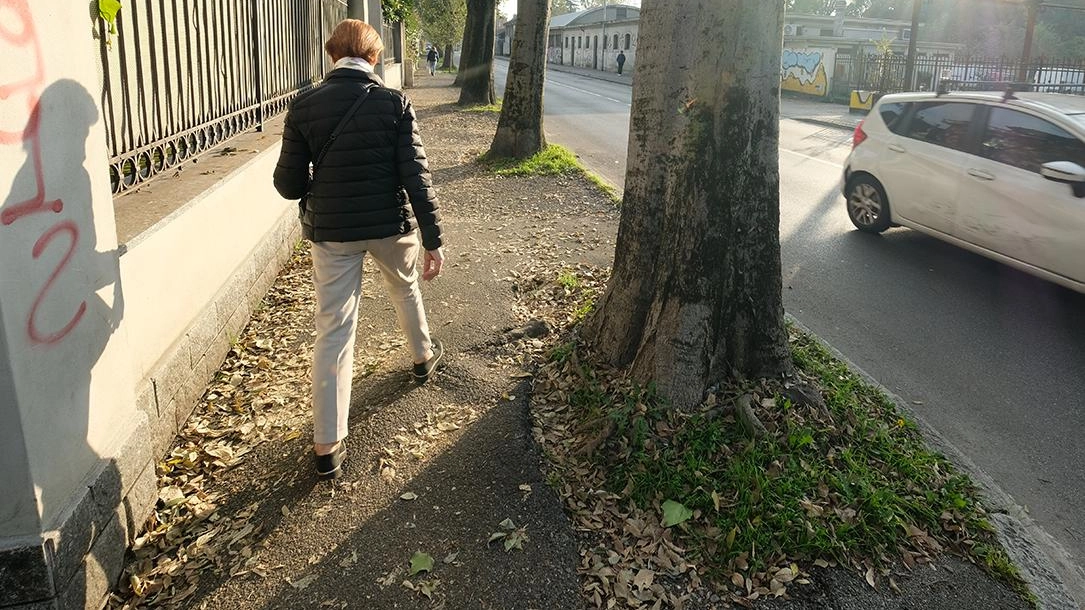 Cresce l’attesa per l’ascensore dell’Arengario progettato dall’archistar Stefano Boeri. Intanto sono in programma i lavori destinati alla riqualificazione di strade e marciapiedi.