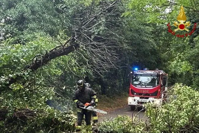 Tromba d’aria in Valchiavenna, danni in un’azienda. Sassi sulla Forcola, tre dispersi nel Canton Grigioni