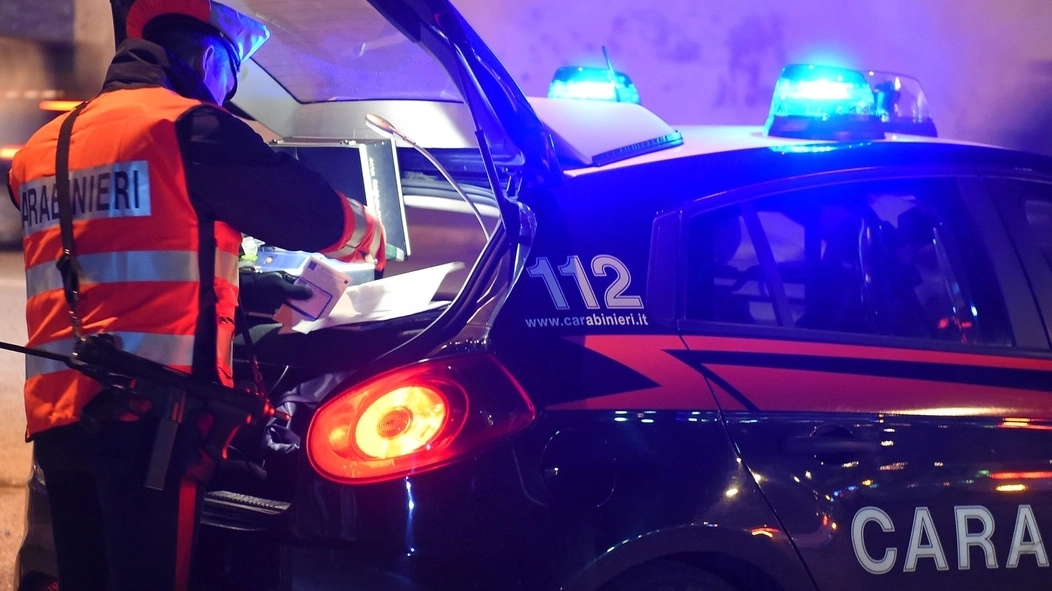 I Carabinieri hanno arrestato il piromane