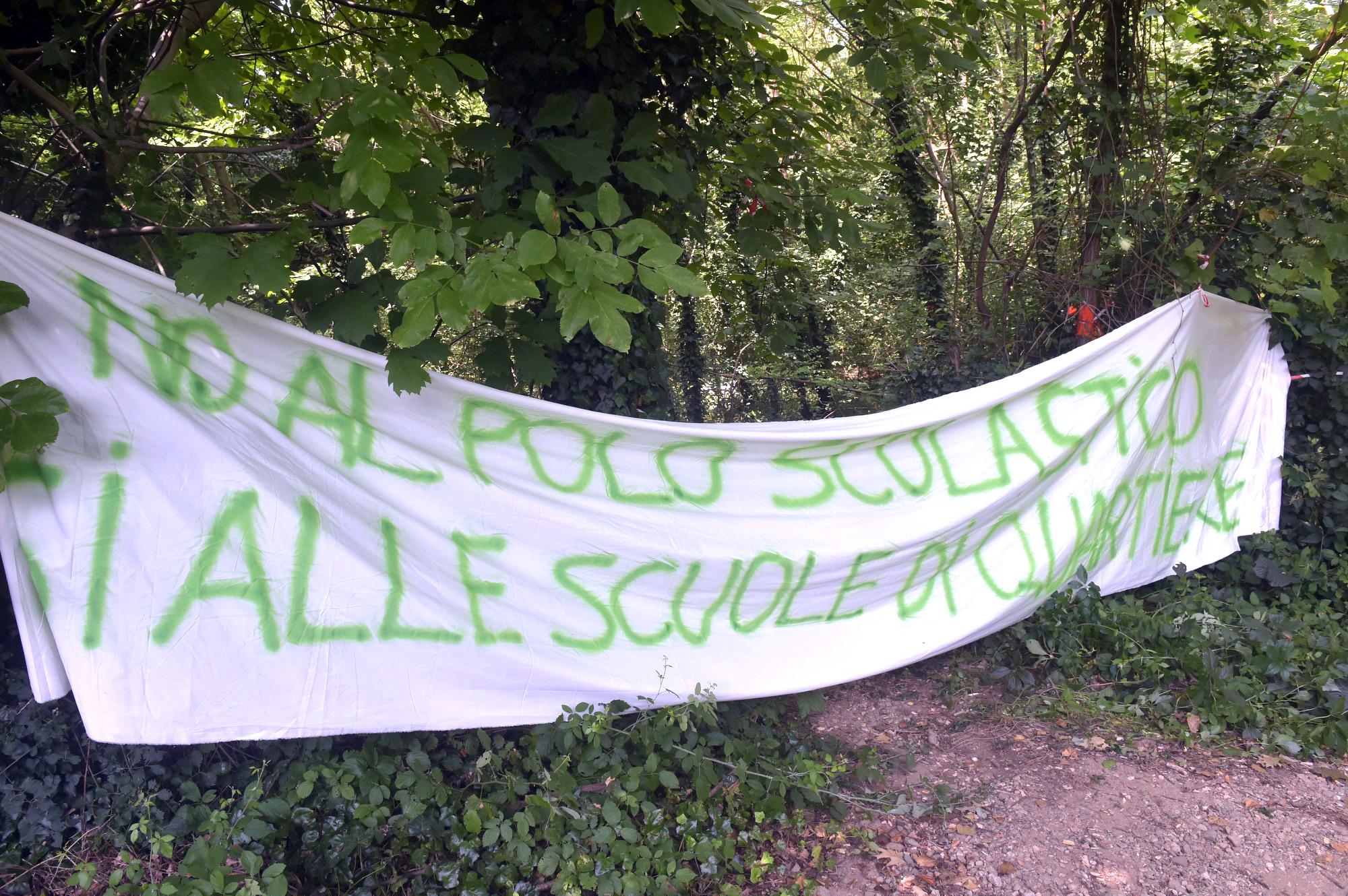 Il bosco raso al suolo a Gallarate, la battaglia continua: “No al polo scolastico”