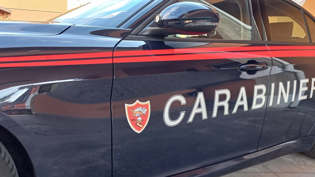 Sul posto sono intervenuti i carabinieri