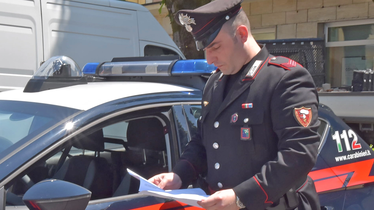 pavia - carabinieri - denunce stranieri per ricezione illegale di assegno di sostegno sociale - carabinieri generica - controlli - foto torres