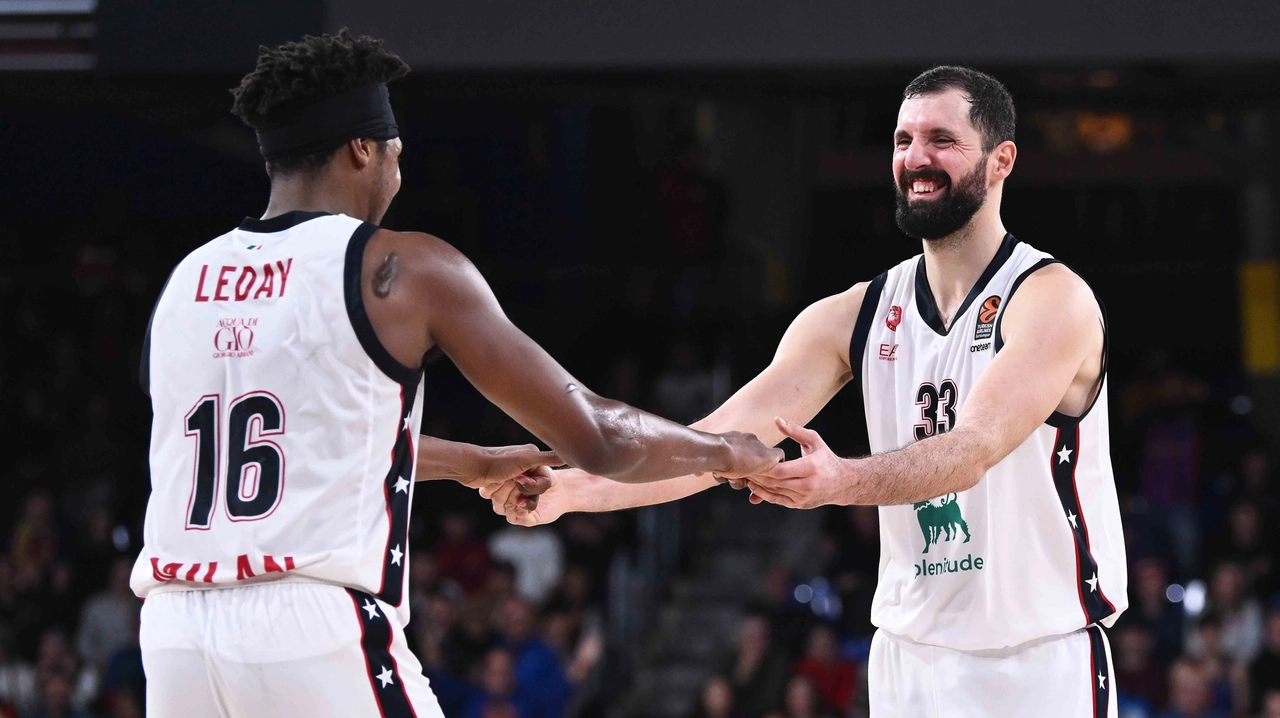 Zach Leday e Nikola Mirotic