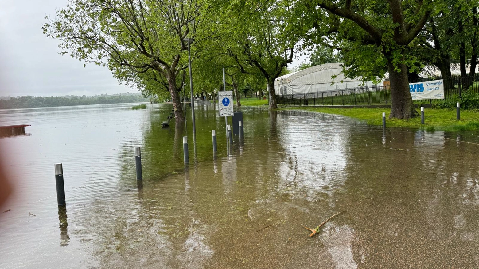 La situazione del lago di Varese (foto dal profilo Facebook Comitato Lombardia - Federazione Italiana Canottaggio)