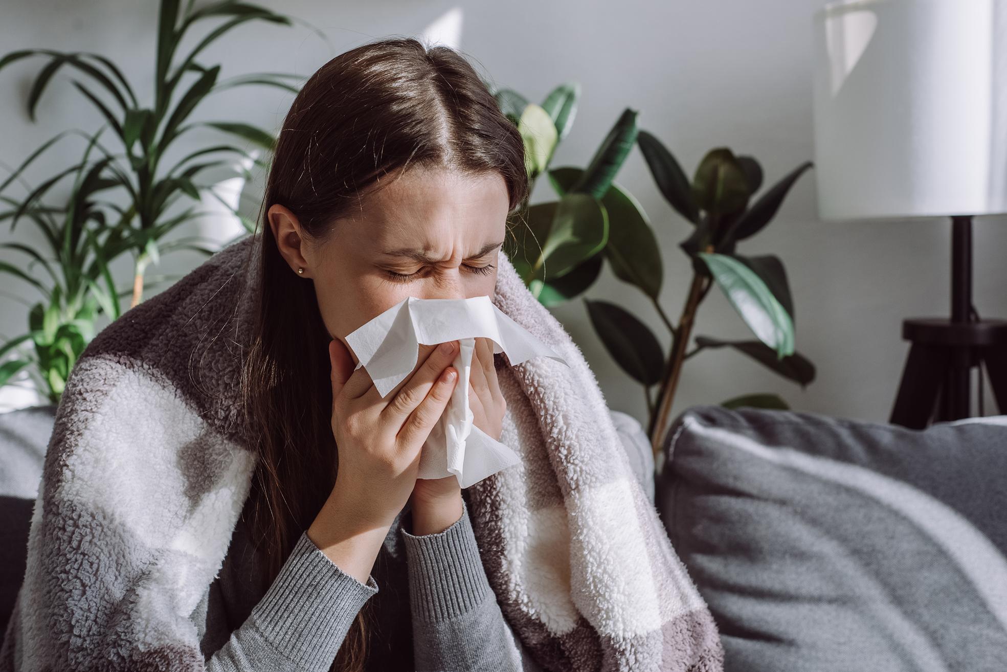 Influenza, casi in aumento in Lombardia. Pregliasco: “Inizio intenso, il picco durante le festività di Natale”