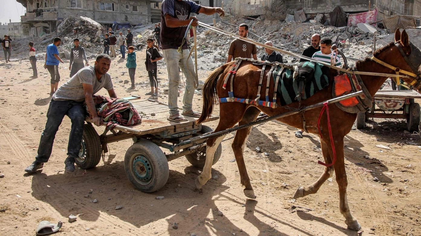 La tragedia della Palestina in sala Ticozzi