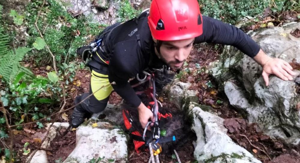 La cagnolina Lilly vaga per giorni nei boschi, la salvano i vigili del fuoco: era finita in un dirupo