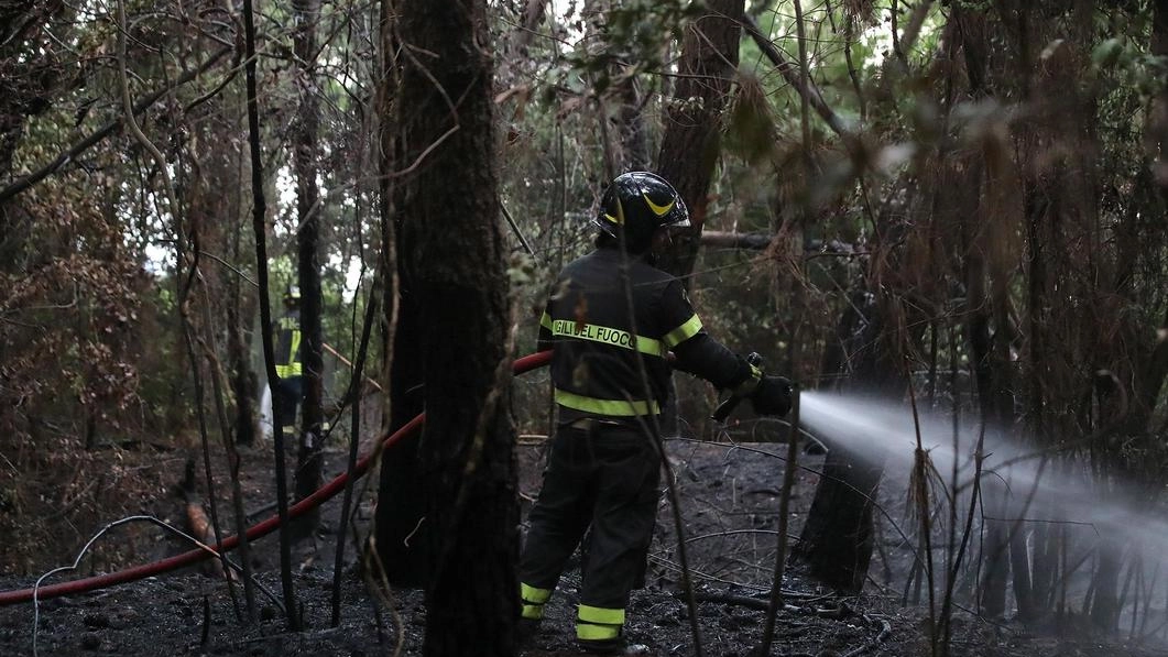 Squadre dei vigili del fuoco in azione per spegnere un incendio