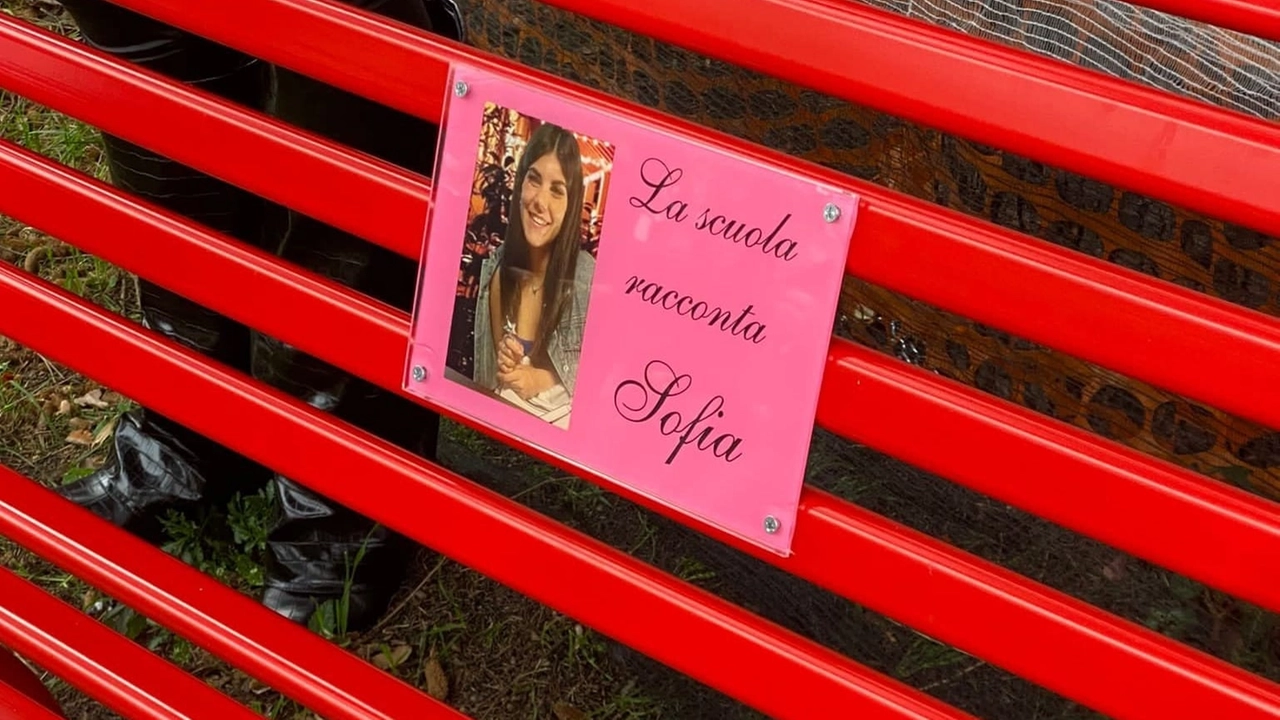 La panchina rossa dedicata a Sofia Castelli all'istituto Besta di Cimiano (Foto facebook Maria Rosaria Delle Serre)