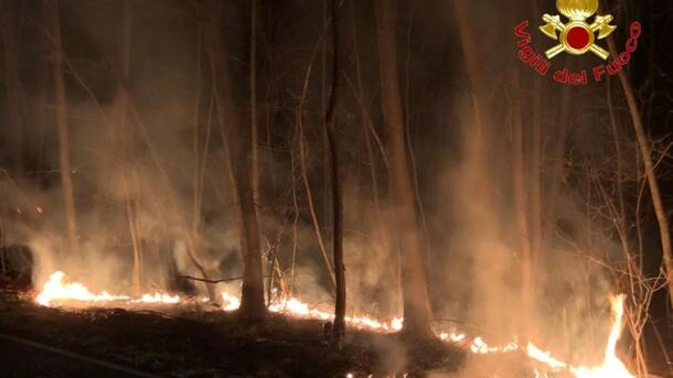 Incendio boschivo (Foto vigili del fuoco)