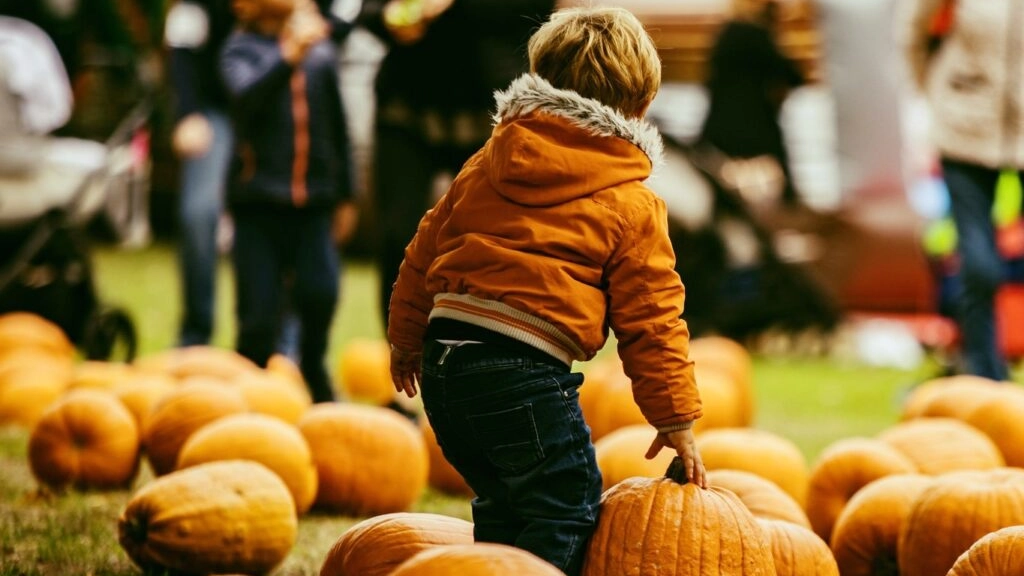 Un luogo sconfinato nel verde dove poter trascorrere una giornata a stretto contatto con la natura. Numerose attività per bambini e famiglie