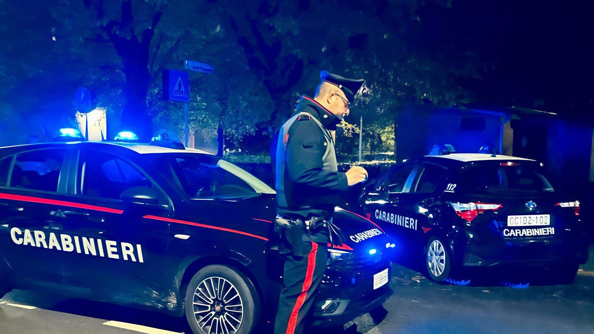 Panetto di droga ritrovato in un cespuglio