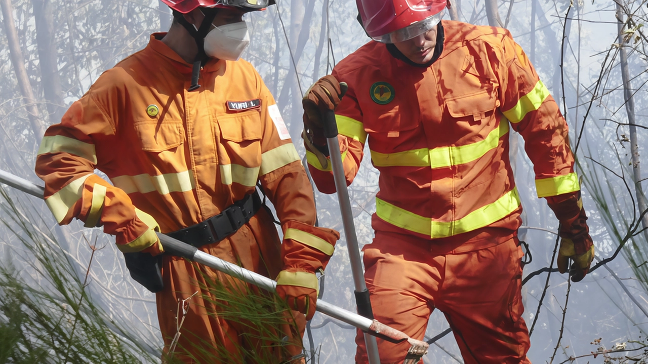 Le Associazioni fondiarie lombarde (Asfo) giocano un ruolo chiave nella gestione sostenibile del territorio, come emerso nel convegno a Brinzio. L'unione di proprietari pubblici e privati per riavviare foreste è essenziale per affrontare i cambiamenti climatici.