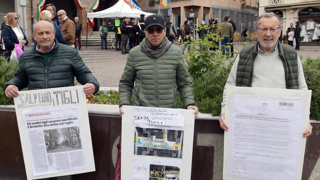 Comitato all’attacco: giù le mani dai tigli. Raccolte 2mila firme