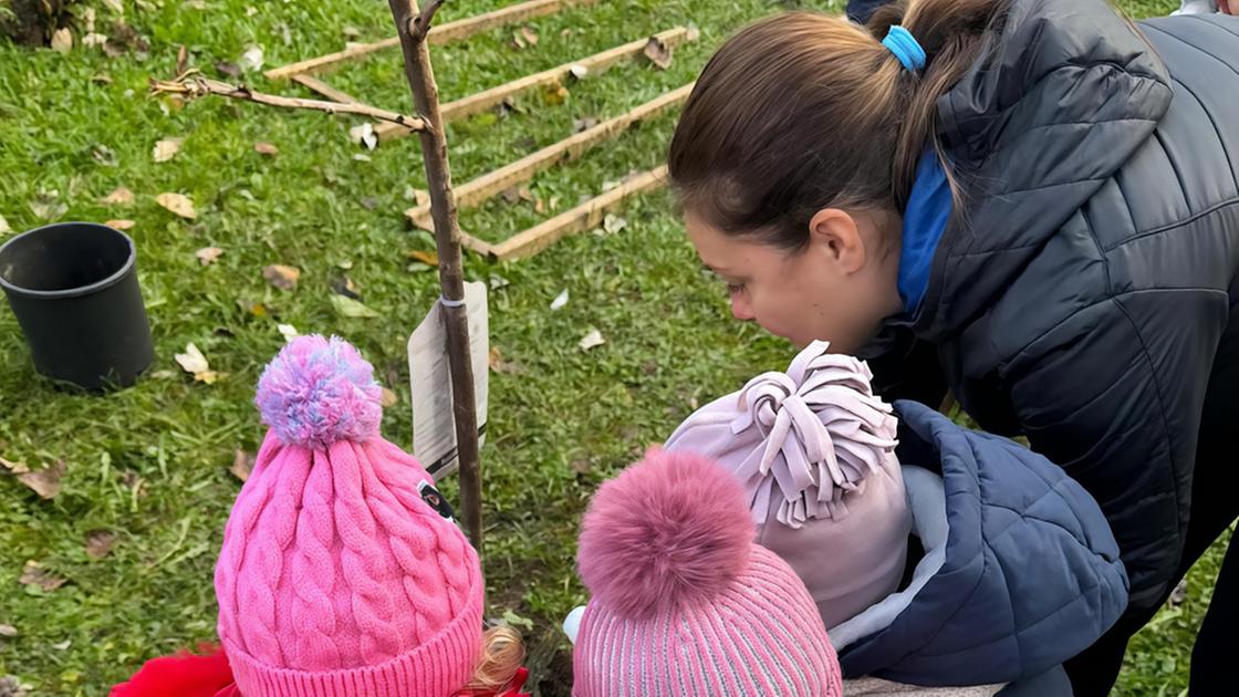 La Festa dell’Albero con bambini e ragazzi: "Per i nostri polmoni"