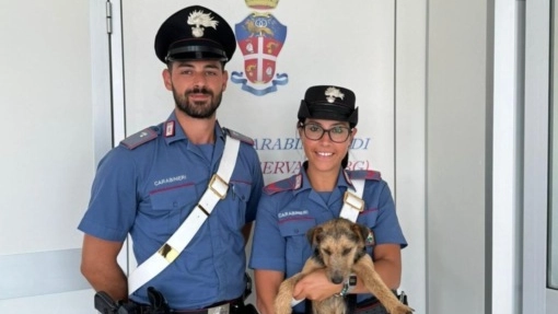 I carabinieri con il cucciolo che hanno salvato sulla provinciale 170