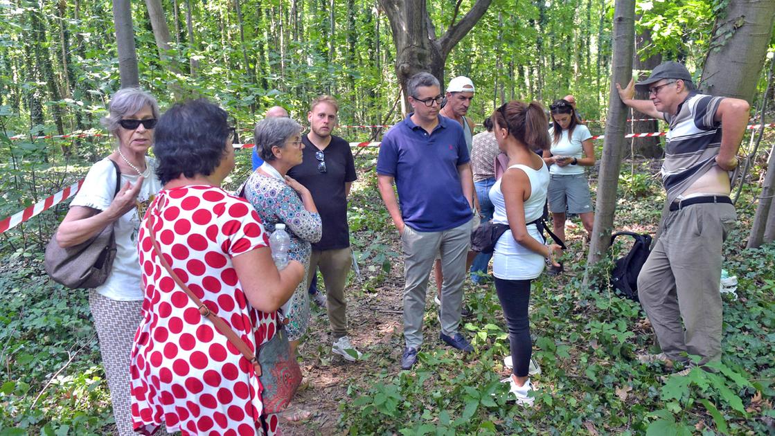 Gallarate, i cittadini fermano il taglio degli alberi ma sono in arrivo denunce