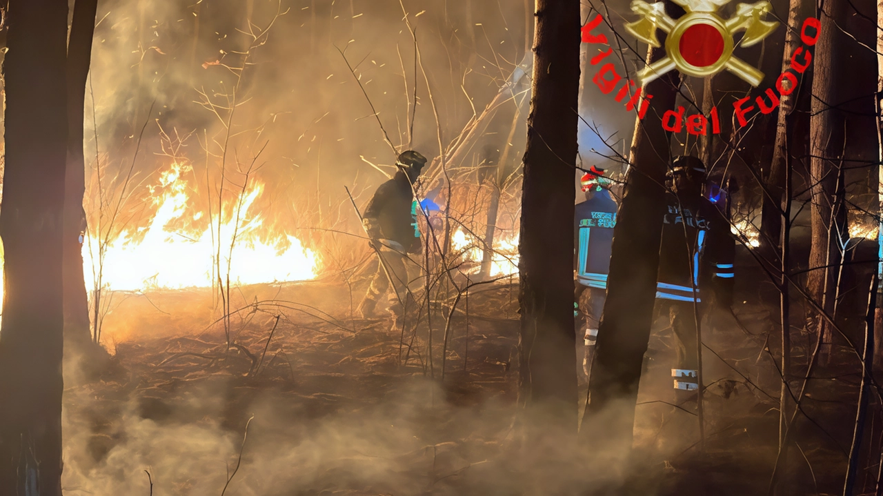 Notte di fuoco e paura nel Parco delle Groane. L’allarme per un incendio è scattato sabato sera poco prima delle...