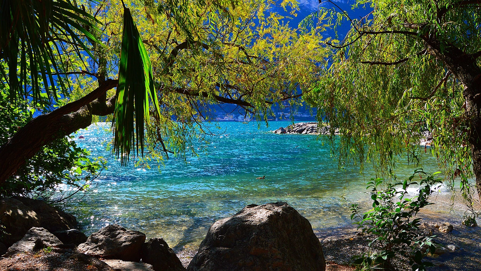 Una spiaggia sul Lago di Garda