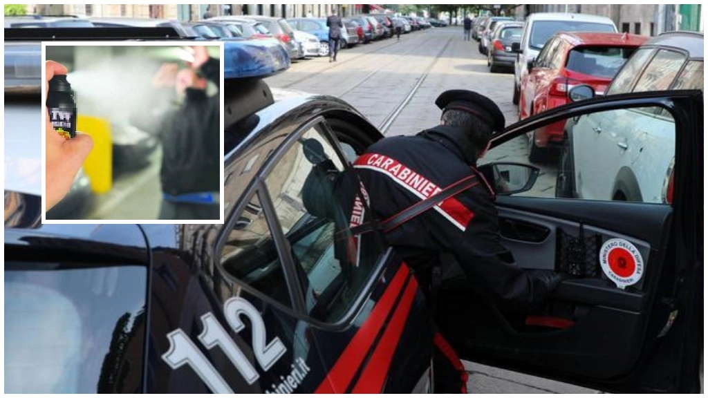 In azione i carabinieri. I raid avvenivano con l'uso dello spray al peperoncino