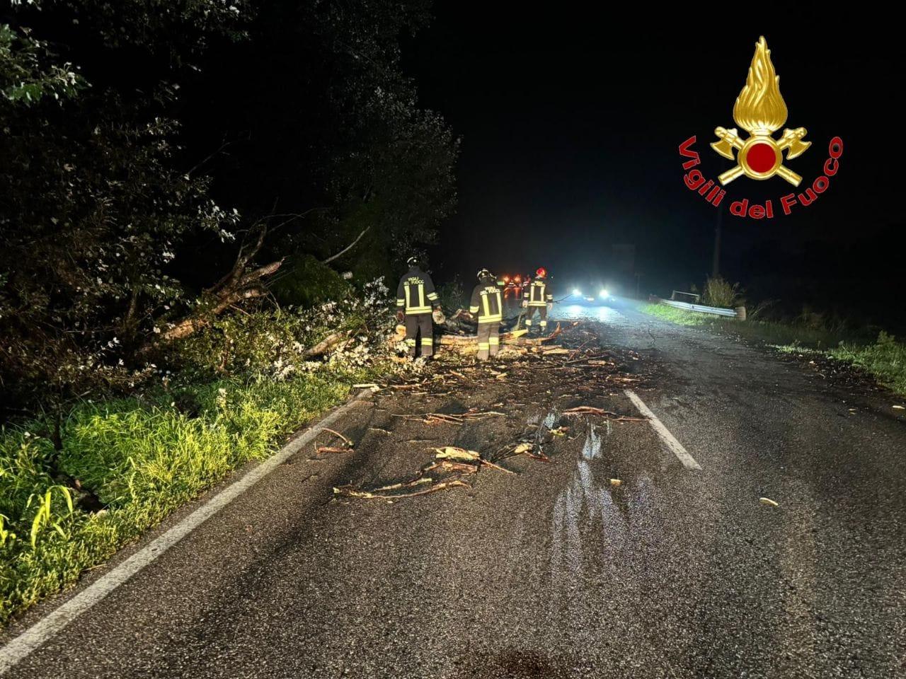 Turano Lodigiano, alberi precipitano sulla provinciale 26 nella notte