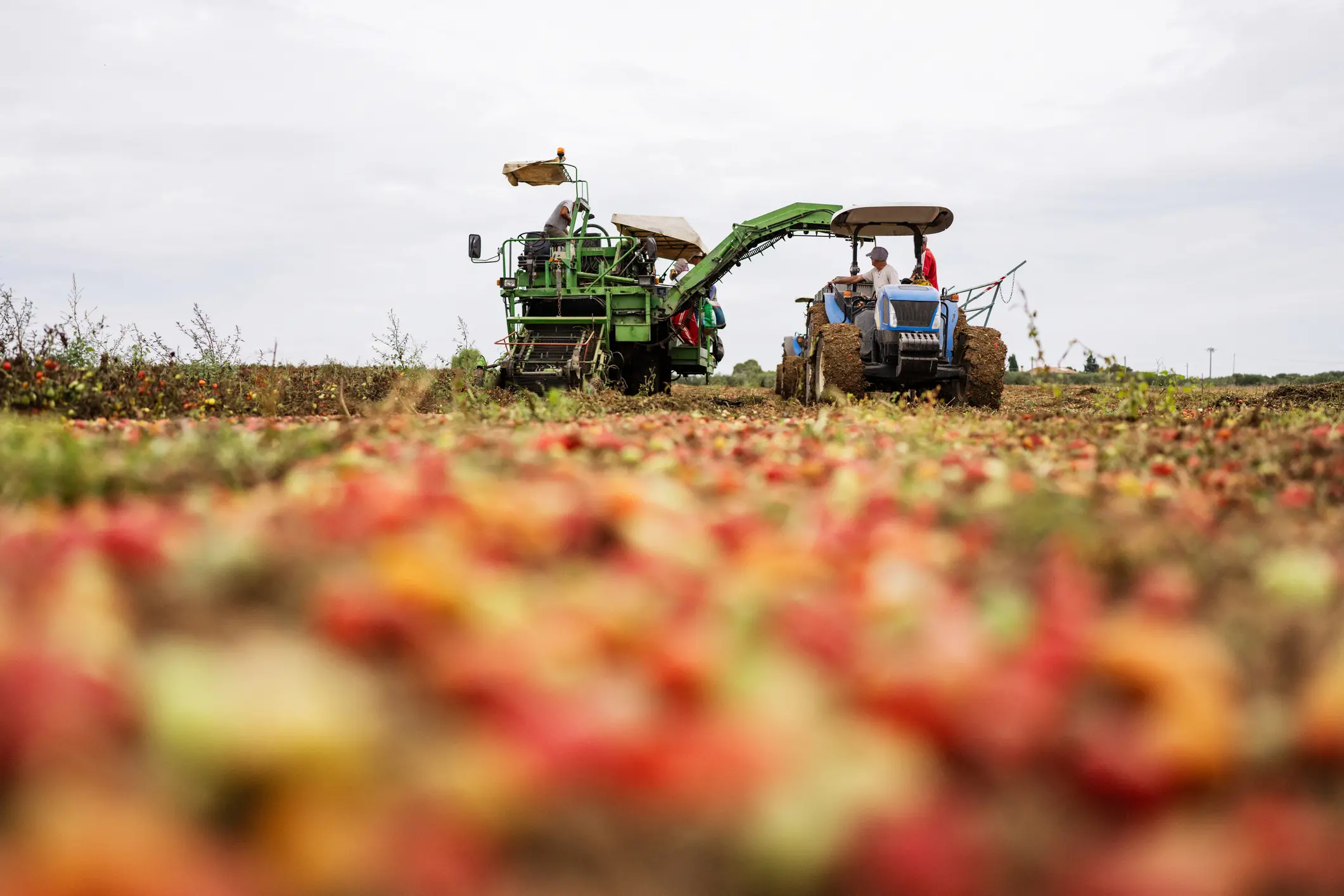 Annata positiva per l’agricoltura, preoccupano i dati sull’occupazione