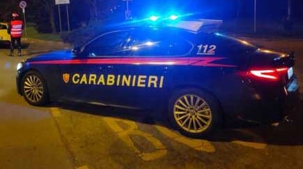 Sul posto sono intervenuti i carabinieri